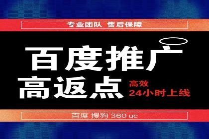 竞价SEM托管服务：成功案例揭秘