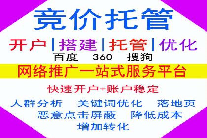SEM运营公司案例解析：数据分析与优化